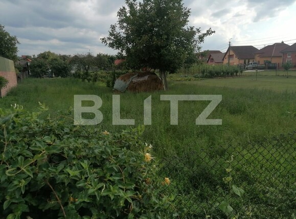 Teren de vânzare Sud - 122635TV | BLITZ Alba Iulia | Poza1