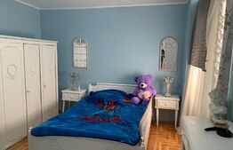 Apartament 3 camere, 65 mp, balcon, Ampoi 3