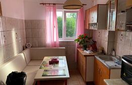 Ansamblu rezidential 540 mp + teren 3800 mp, com Galda de Jos