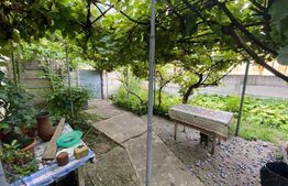 Investiție, Casă veche, teren 500 mp, zona Cetate - Alba Iulia