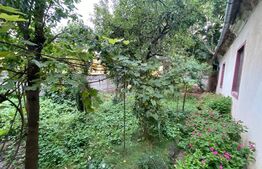 Investiție, Casă veche, teren 500 mp, zona Cetate - Alba Iulia