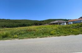 Teren intravilan, 4900 mp, zona Hăpria - Ciugud