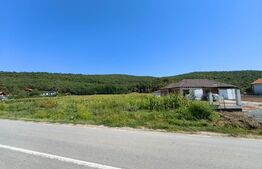 Teren intravilan, 4900 mp, zona Hăpria - Ciugud