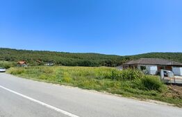 Teren intravilan, 4900 mp, zona Hăpria - Ciugud