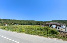 Teren intravilan, 4900 mp, zona Hăpria - Ciugud