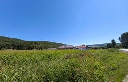 Teren intravilan, 4900 mp, zona Hăpria - Ciugud