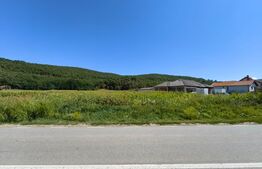 Teren intravilan, 4900 mp, zona Hăpria - Ciugud