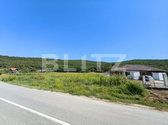 Teren de vânzare Ciugud - 123215TV | BLITZ Alba Iulia | Poza3