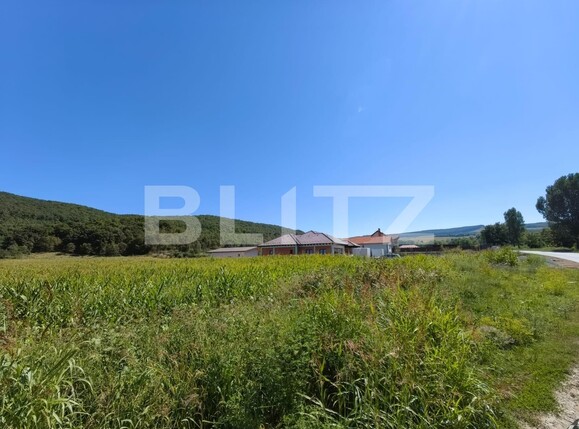 Teren de vânzare Ciugud - 123215TV | BLITZ Alba Iulia | Poza1