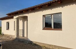 Casa 4 camere, 100 mp, Nicoleae Ploesteanu