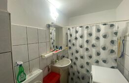 Apartament 2 camere situat in Cetate