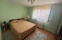 Apartament 2 camere situat in Cetate