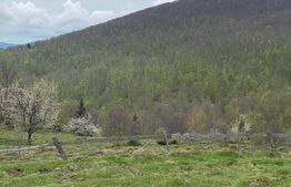 Casa de vacanta 3 camere baie 10 ha teren