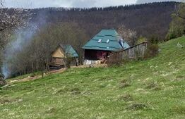 Casa de vacanta 3 camere baie 10 ha teren