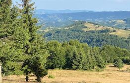 Casa de vacanta 3 camere baie 10 ha teren