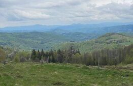 Casa de vacanta 3 camere baie 10 ha teren