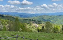 Casa de vacanta 3 camere baie 10 ha teren