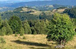 Casa de vacanta 3 camere baie 10 ha teren