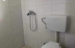 Casa de vacanta 3 camere baie 10 ha teren