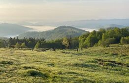 Casa de vacanta 3 camere baie 10 ha teren