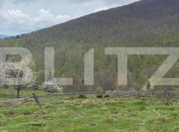 Casa de vânzare 2 camere Exterior Nord - 123881CV | BLITZ Alba Iulia | Poza12