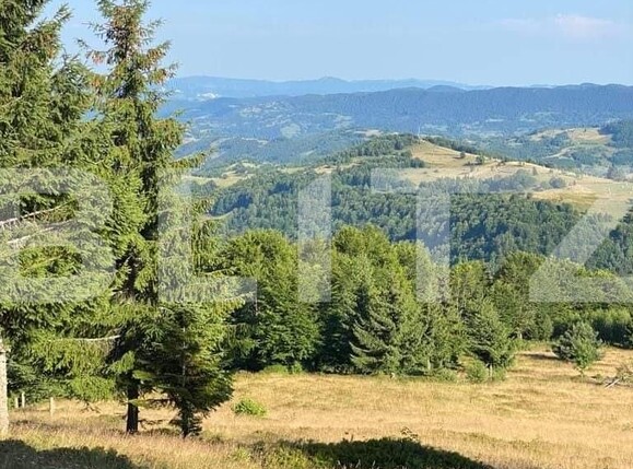 Casa de vânzare 2 camere Exterior Nord - 123881CV | BLITZ Alba Iulia | Poza16