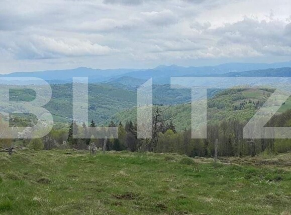 Casa de vânzare 2 camere Exterior Nord - 123881CV | BLITZ Alba Iulia | Poza11