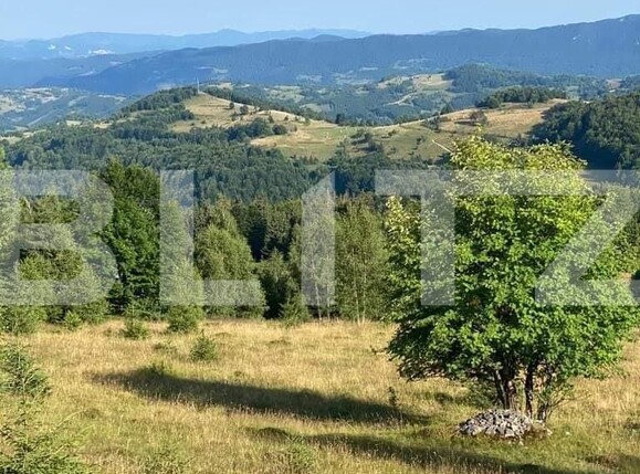 Casa de vânzare 2 camere Exterior Nord - 123881CV | BLITZ Alba Iulia | Poza15