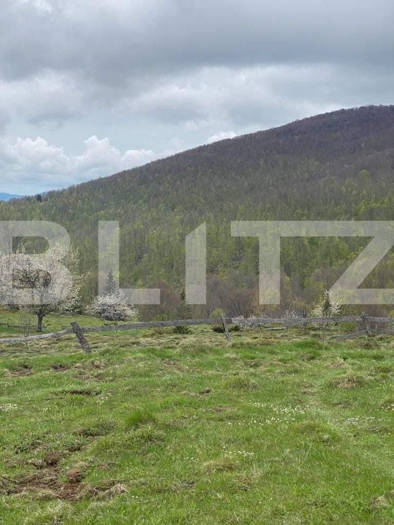 Casa de vânzare 2 camere Exterior Nord - 123881CV | BLITZ Alba Iulia | Poza12