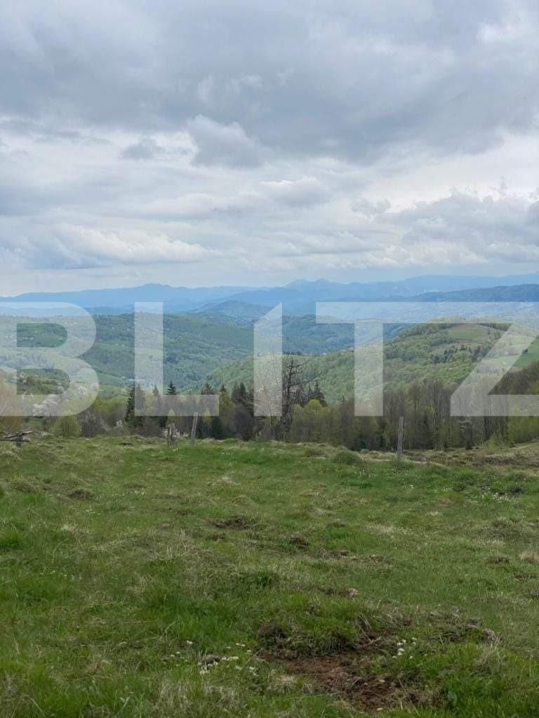 Casa de vânzare 2 camere Exterior Nord - 123881CV | BLITZ Alba Iulia | Poza11