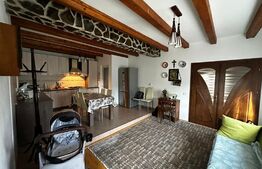 Casa 100 mp 4 camere bucatarie 2 bai 500 mp Zona Sard