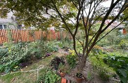 Casa pozitionata central 4 camere, baie, bucatarie, 630 mp teren cu un vad excelent in Sebes