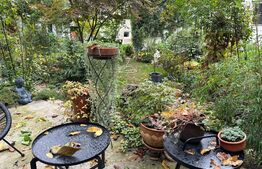 Casa pozitionata central 4 camere, baie, bucatarie, 630 mp teren cu un vad excelent in Sebes