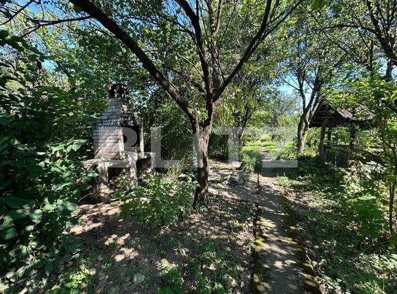 Casa de vânzare 3 camere Central - 124356CV | BLITZ Alba Iulia | Poza4