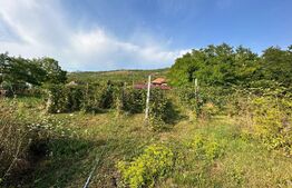 Casa individuala mobila 98mp utili si 2000mp teren in Ohaba(Colibi)