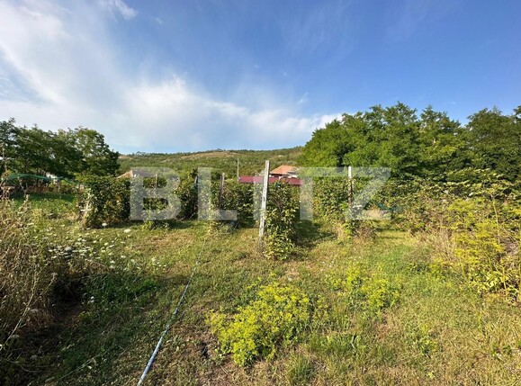 Casa de vânzare 2 camere Nord Est - 124361CV | BLITZ Alba Iulia | Poza4