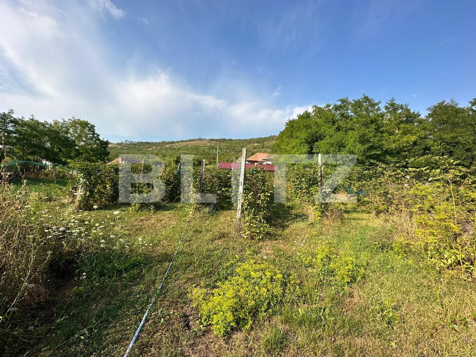 Casa de vânzare 2 camere Nord Est - 124361CV | BLITZ Alba Iulia | Poza4