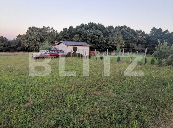 Teren de vânzare Cetate - 125238TV | BLITZ Alba Iulia | Poza1