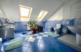 Casă cu 7 camere, teren 2300 mp, zona Sebeș - Petrești