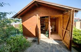 Casă cu 7 camere, teren 2300 mp, zona Sebeș - Petrești