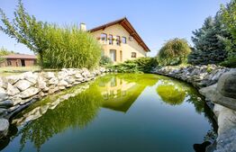 Casă cu 7 camere, teren 2300 mp, zona Sebeș - Petrești