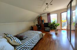 Casă cu 7 camere, teren 2300 mp, zona Sebeș - Petrești