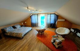 Casă cu 7 camere, teren 2300 mp, zona Sebeș - Petrești