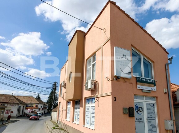 Spațiu comercial de vânzare Sebeș - 126088SVC | BLITZ Alba Iulia | Poza2
