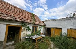 Casă 3 camere, 1000 mp teren, zona Sebeș - Grivița