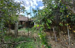 Casă 3 camere, 1000 mp teren, zona Sebeș - Grivița