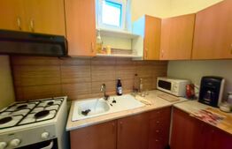 Casă 3 camere, 1000 mp teren, zona Sebeș - Grivița