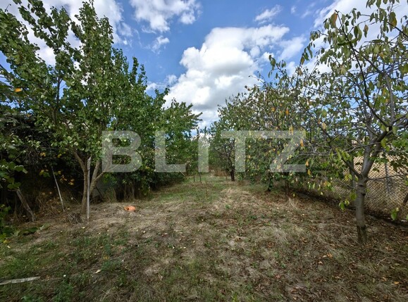 Casa de vânzare 3 camere Sebeș - 126089CV | BLITZ Alba Iulia | Poza10