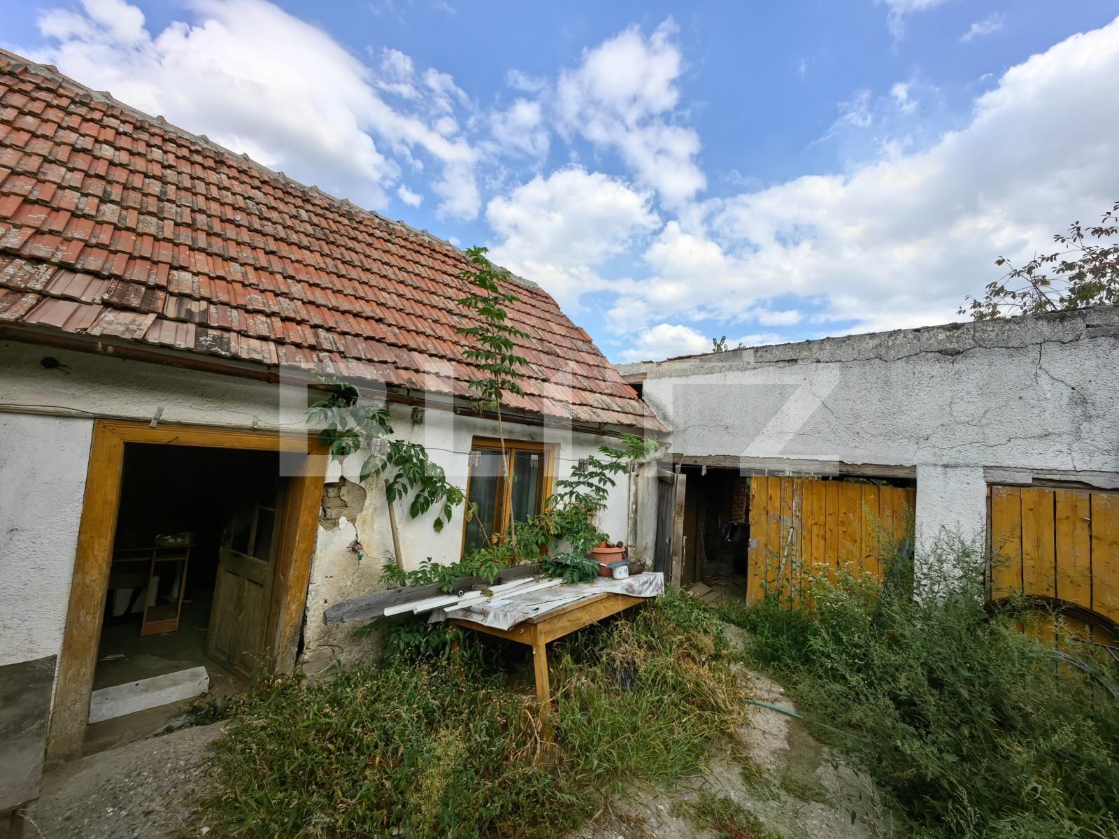 Casa de vânzare 3 camere Sebeș - 126089CV | BLITZ Alba Iulia | Poza3