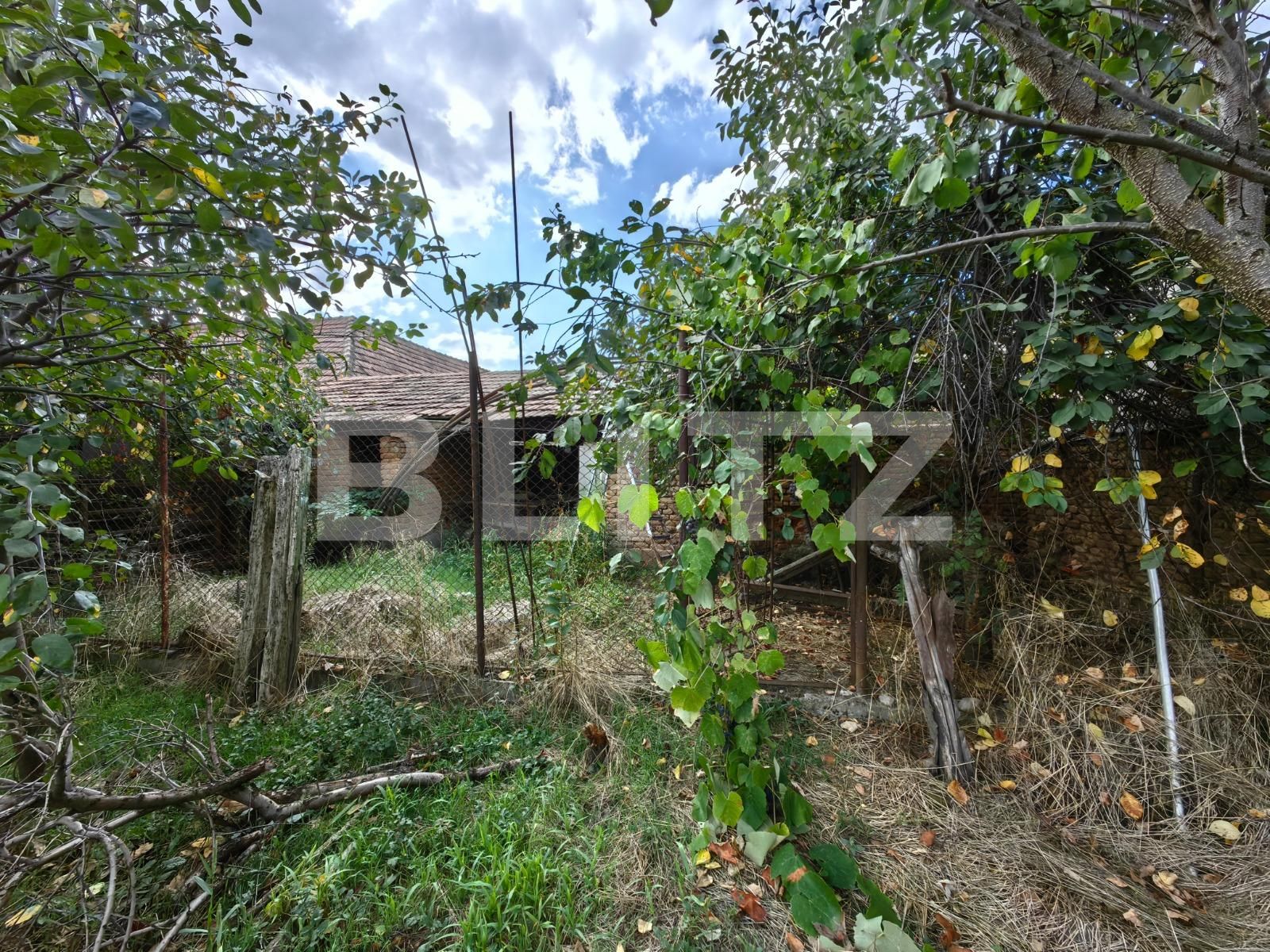 Casa de vânzare 3 camere Sebeș - 126089CV | BLITZ Alba Iulia | Poza11